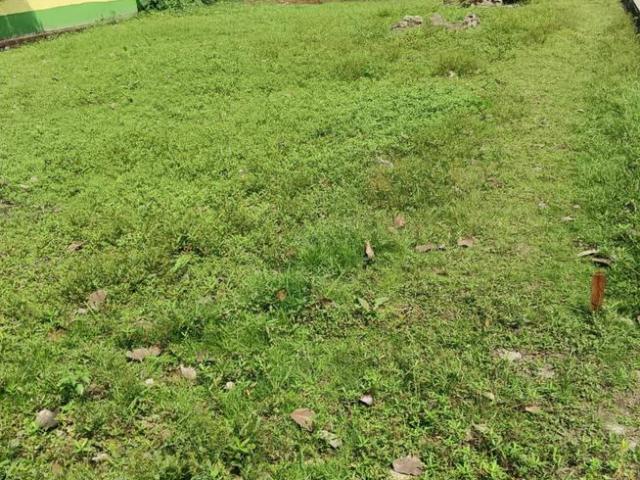 Residential Plot in Budge Budge for resale Kolkata. The reference number is 8589022