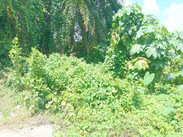 Residential Plot in Budge Budge for resale Kolkata. The reference number is 21118940