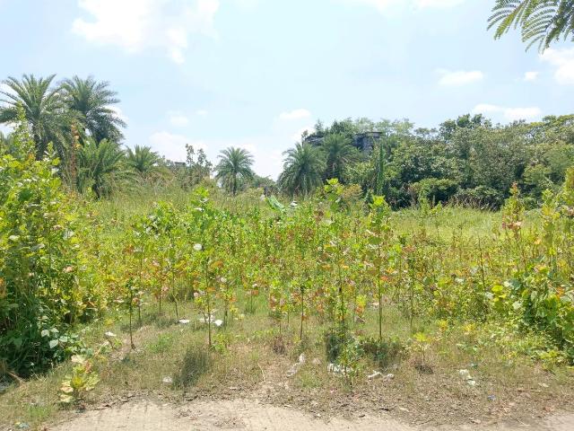 Residential Plot in Budge Budge for resale Kolkata. The reference number is 21118945