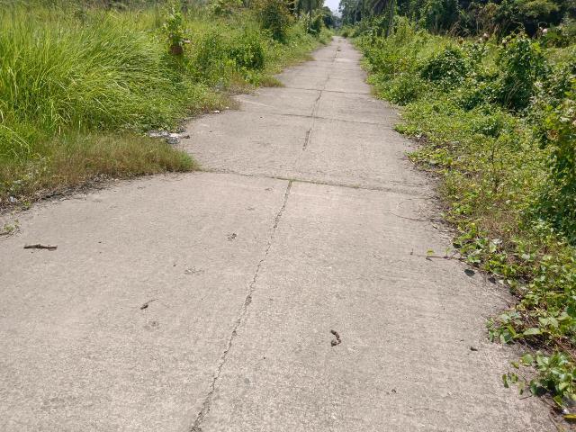 Residential Plot in Budge Budge for resale Kolkata. The reference number is 21118936