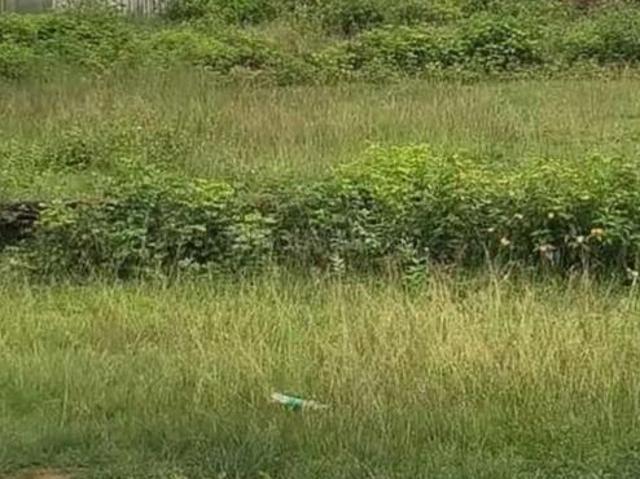 Residential Plot in Bukru for resale Ranchi. The reference number is 21275124