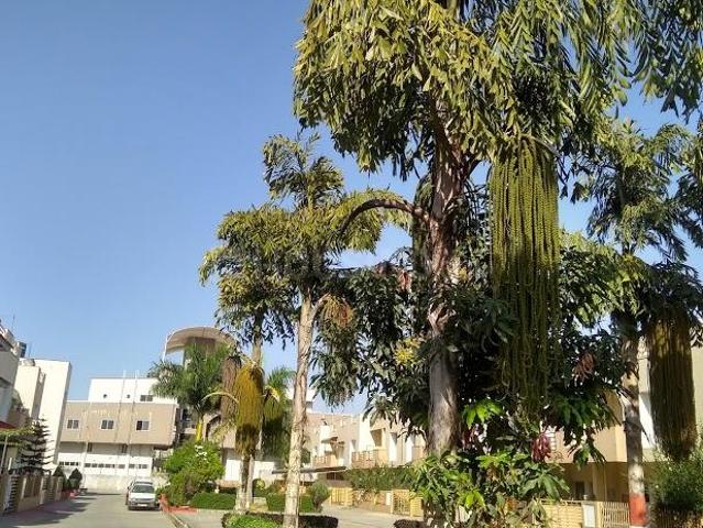 Residential Plot in Bagli Village for resale Bhopal. The reference number is 17064737