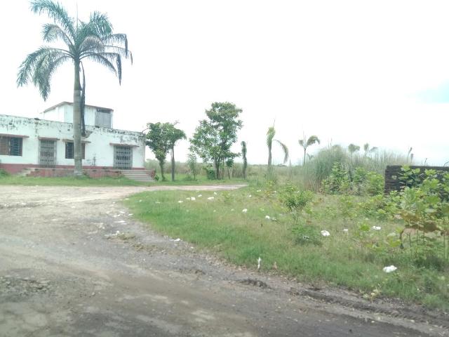 Residential Plot in Bagpota for resale Kolkata. The reference number is 21039983