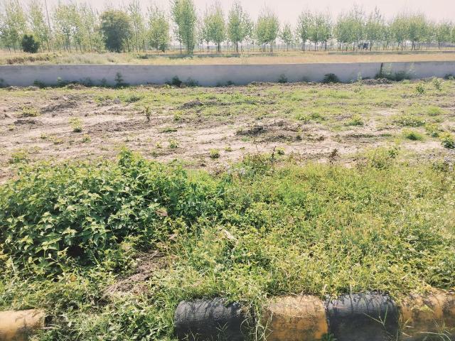 Residential Plot in Badheri Rajputan for resale Haridwar. The reference number is 14201715