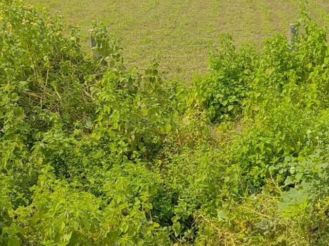 Residential Plot in Bakshi Ka Talab for resale Lucknow. The reference number is 21241940