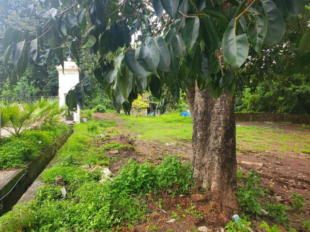 Residential Plot in Baingini for resale Goa. The reference number is 18436810