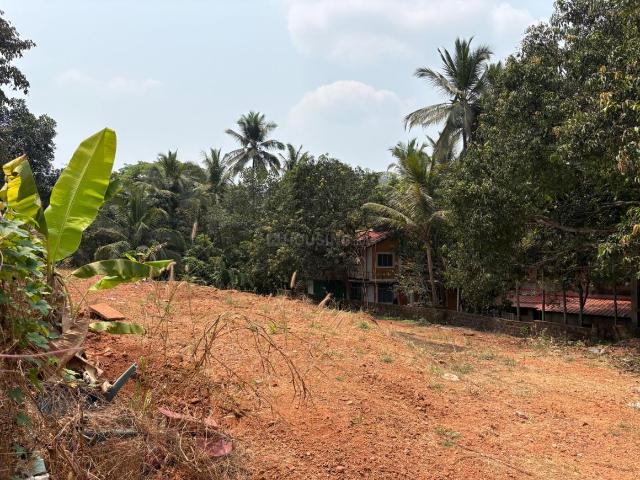 Residential Plot in Baingini for resale Goa. The reference number is 19725008