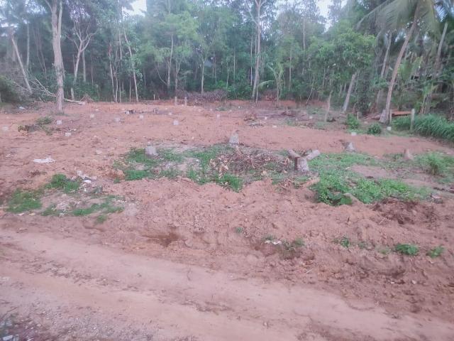 Residential Plot in Balaramapuram for resale Thiruvananthapuram. The reference number is 20448396
