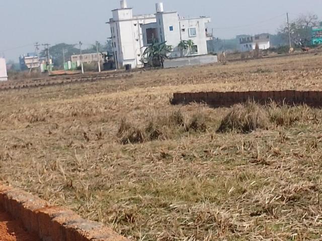Residential Plot in Balianta for resale Bhubaneswar. The reference number is 19306333