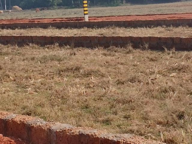 Residential Plot in Balianta for resale Bhubaneswar. The reference number is 19309691