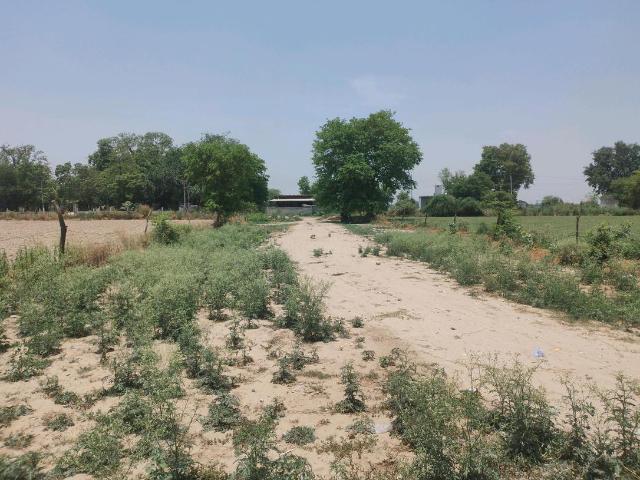 Residential Plot in Sector 134 for resale Faridabad. The reference number is 20500660