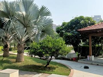 Residential Plot in Bamheta Village for resale Ghaziabad. The reference number is 19567685
