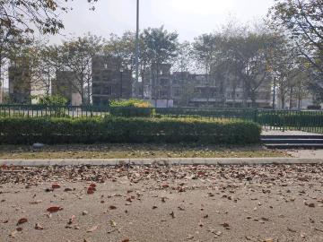 Residential Plot in Bamheta Village for resale Ghaziabad. The reference number is 19584771