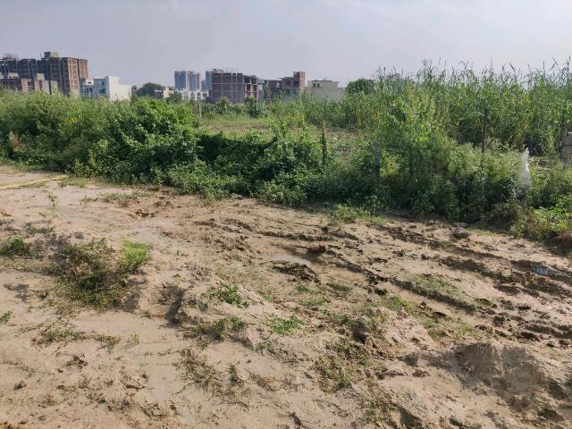 Residential Plot in Bamheta Village for resale Ghaziabad. The reference number is 21076171