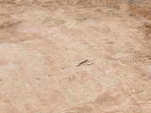 Residential Plot in Bannerughatta for resale Bengaluru. The reference number is 21170173