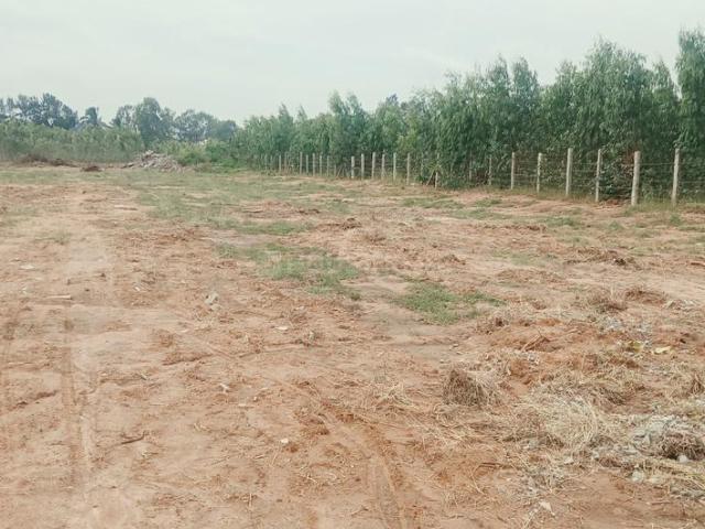 Residential Plot in Bannerughatta for resale Bengaluru. The reference number is 21170399