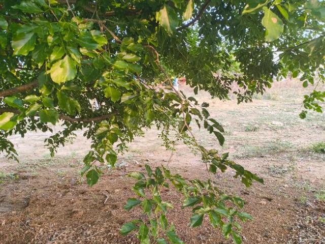 Residential Plot in Banashankari 6th Stage 4th Block for resale Bengaluru. The reference number is 20140876