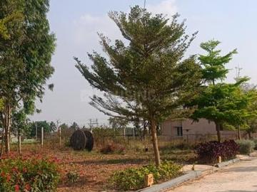 Bangalore, Bangalore District, Tamil Nadu