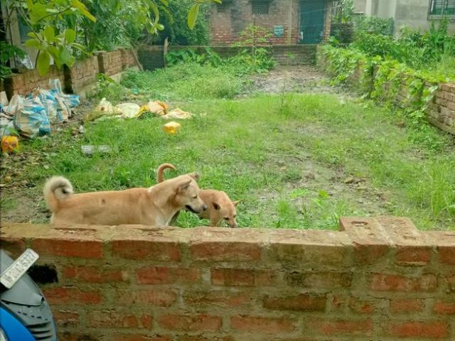 Residential Plot in Bansdroni Mauza for resale Kolkata. The reference number is 21065622