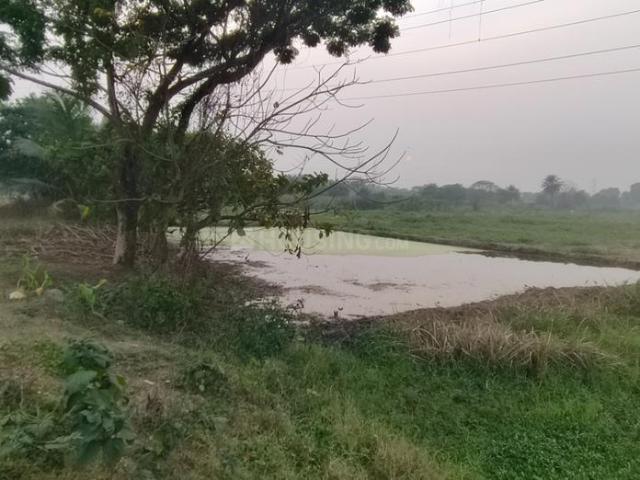 Residential Plot in Bantala for resale Kolkata. The reference number is 19173364