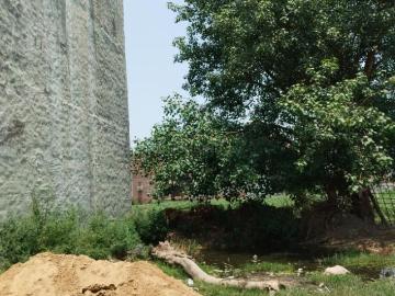 Residential Plot in Basantpur for resale Faridabad. The reference number is 20513806