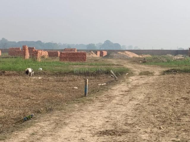 Residential Plot in Basdeopur for resale Darbhanga. The reference number is 16346618