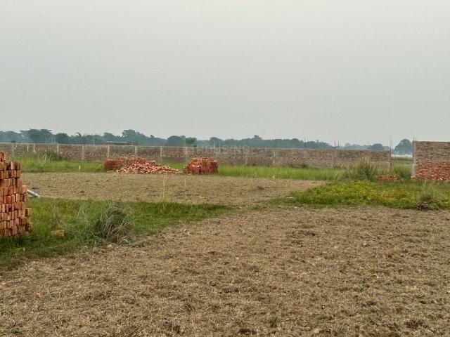 Residential Plot in Basdeopur for resale Darbhanga. The reference number is 16375678