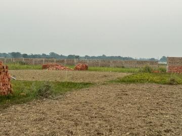 Darbhanga, Darbhanga District, Bihar State