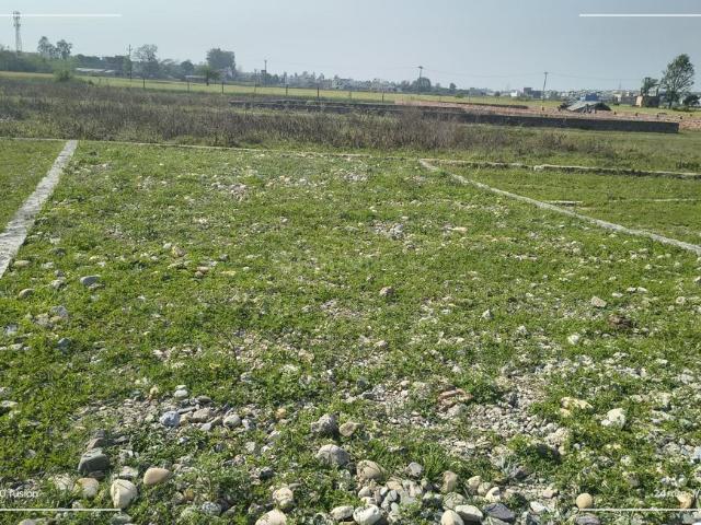 Residential Plot in Baronwala for resale Dehradun. The reference number is 19824438