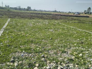 Residential Plot in Baronwala for resale Dehradun. The reference number is 19824438
