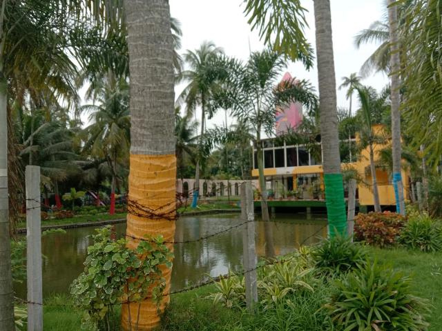 Residential Plot in Bara Gagan Gohalia for resale Kolkata. The reference number is 13431843