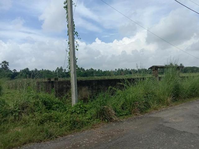 Residential Plot in Bara Gagan Gohalia for resale Kolkata. The reference number is 19869260