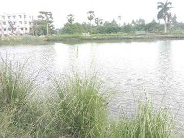 Residential Plot in Bara Gagan Gohalia for resale Kolkata. The reference number is 19871459