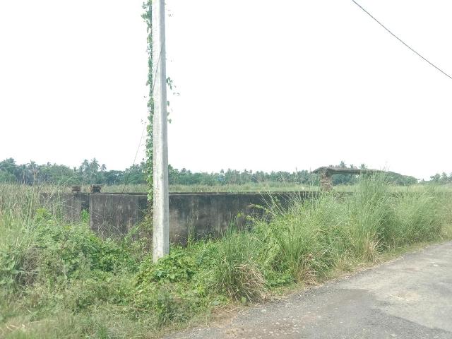 Residential Plot in Bara Gagan Gohalia for resale Kolkata. The reference number is 19926194