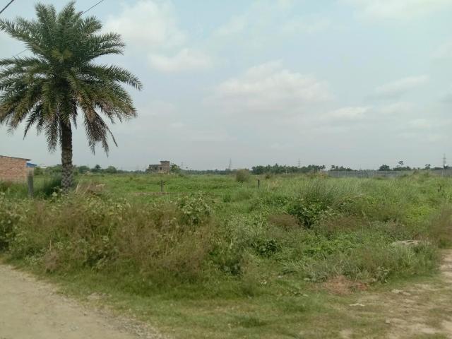 Residential Plot in Bara Gagan Gohalia for resale Kolkata. The reference number is 20081085