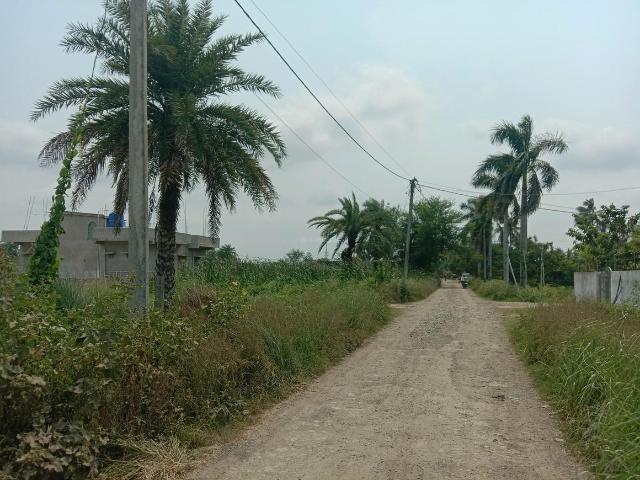 Residential Plot in Bara Gagan Gohalia for resale Kolkata. The reference number is 20081096