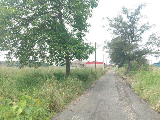 Residential Plot in Bara Gagan Gohalia for resale Kolkata. The reference number is 21048148