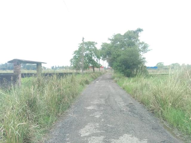 Residential Plot in Bara Gagan Gohalia for resale Kolkata. The reference number is 21048176