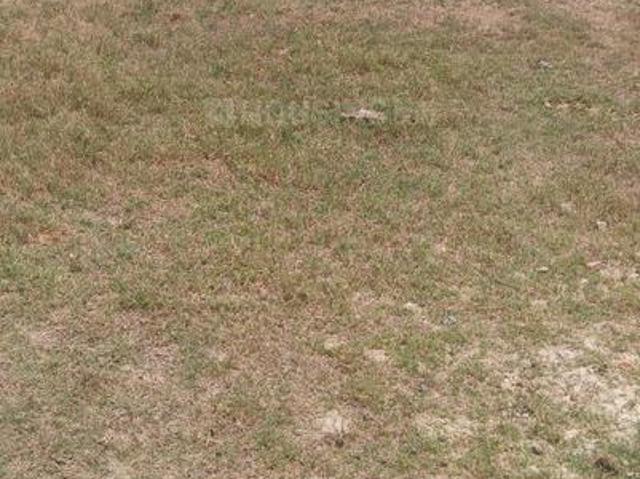 Residential Plot in Baragaon for resale Varanasi. The reference number is 20511623