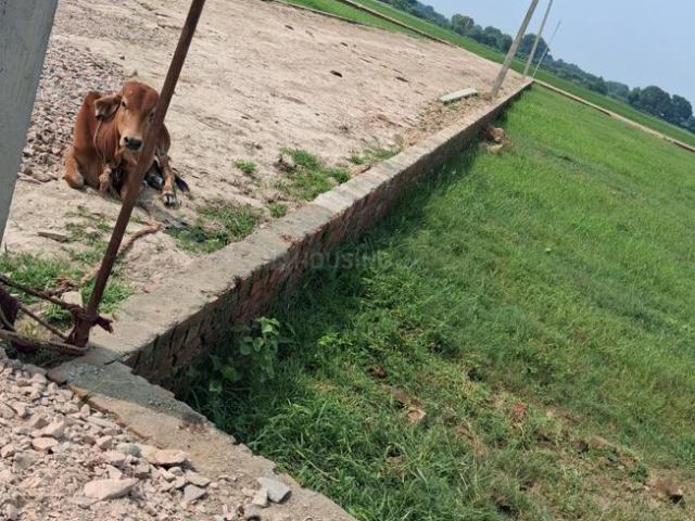 Residential Plot in Barai for resale Varanasi. The reference number is 20904001
