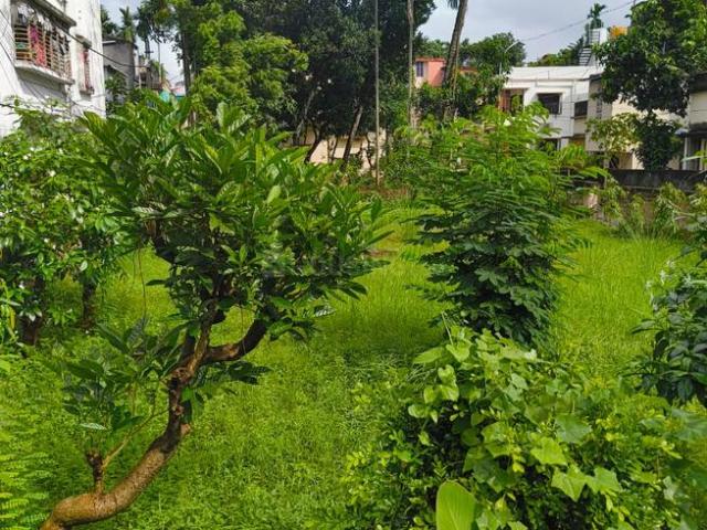 Residential Plot in Barasat for resale Kolkata. The reference number is 21189966