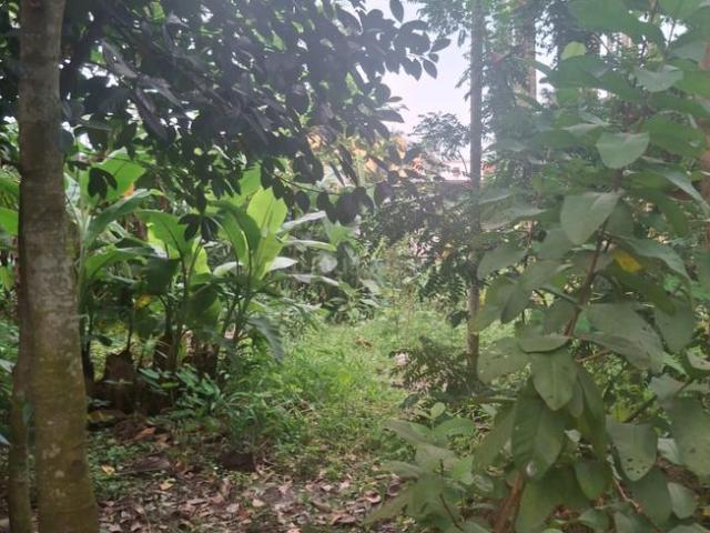 Residential Plot in Barasat for resale Kolkata. The reference number is 21366084