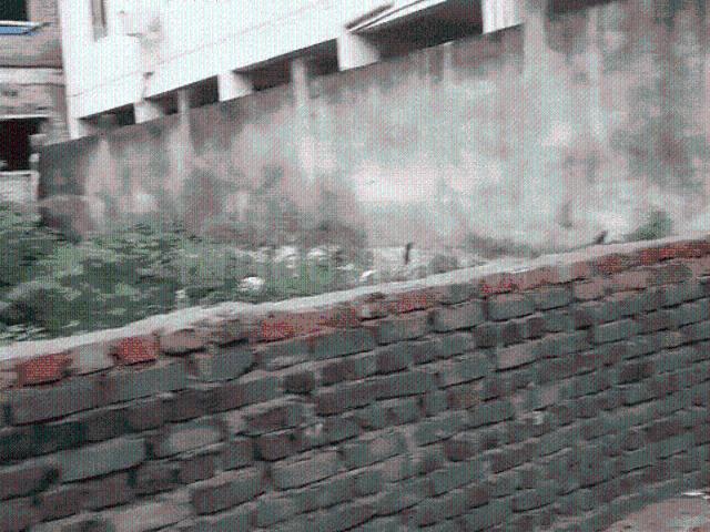 Residential Plot in Bariatu for resale Ranchi. The reference number is 20435695
