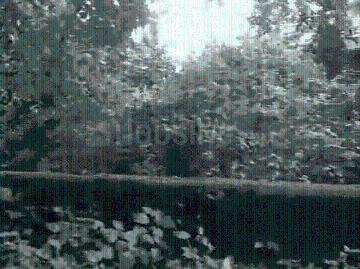 Residential Plot in Bariatu for resale Ranchi. The reference number is 20442908