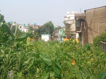 Residential Plot in Barrackpore for resale Kolkata. The reference number is 20407527