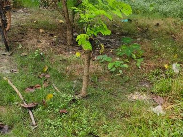 Residential Plot in Barrackpore for resale Kolkata. The reference number is 21266526