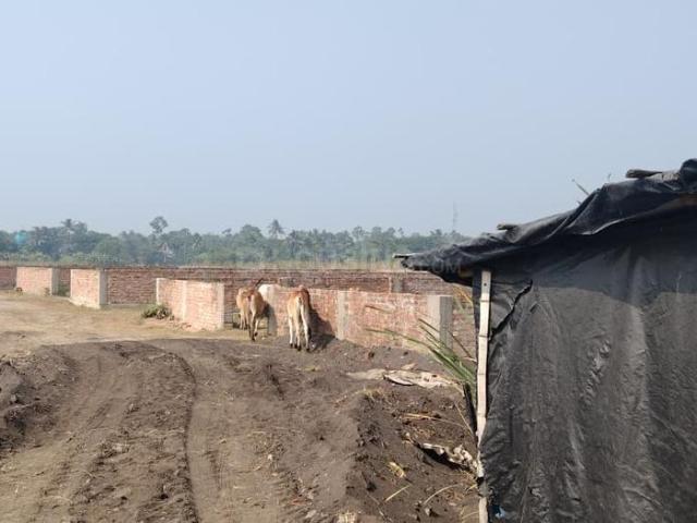 Residential Plot in Baruipur for resale Kolkata. The reference number is 13328714