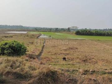 Sunderban Residency, Sinhagad Road, Pune, Pune District, Maharashtra