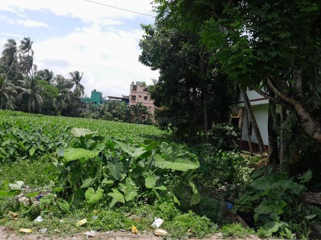 Residential Plot in Baruipur for resale Kolkata. The reference number is 20831932