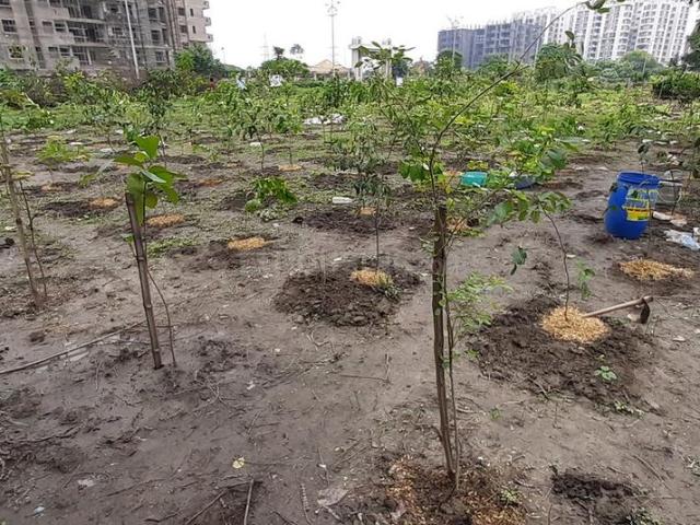 Residential Plot in Baruipur for resale Kolkata. The reference number is 3876223